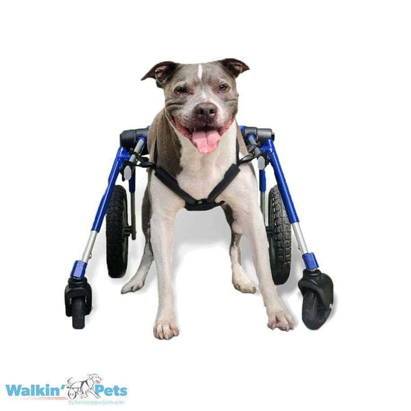 Walkin Wheels® MEDIUM Dog Front Wheel Attachment Dog Wheel Chair Walkin Wheels Silver Circle Pets