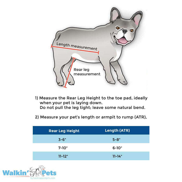 Walkin Wheels® MINI Rear Dog Wheelchair Dog Wheelchairs Walkin Wheels Silver Circle Pets