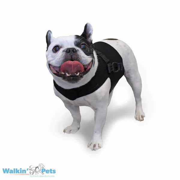 Walkin Wheels® SMALL Front Vest Dog Wheel Chair Walkin Wheels Silver Circle Pets