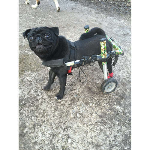 Walkin Wheels® SMALL Rear Dog Wheelchair Dog Wheelchairs Walkin Wheels Silver Circle Pets