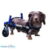 Walkin’ Wheels DACHSHUND Wheelchair Dog Wheel Chair Walkin Wheels Silver Circle Pets