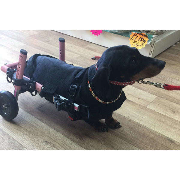 Walkin’ Wheels DACHSHUND Wheelchair Dog Wheel Chair Walkin Wheels Silver Circle Pets