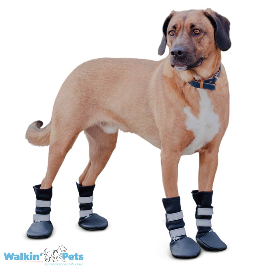 Walkin' Wheels Dog Boots Silver Circle Pets - Main Image
