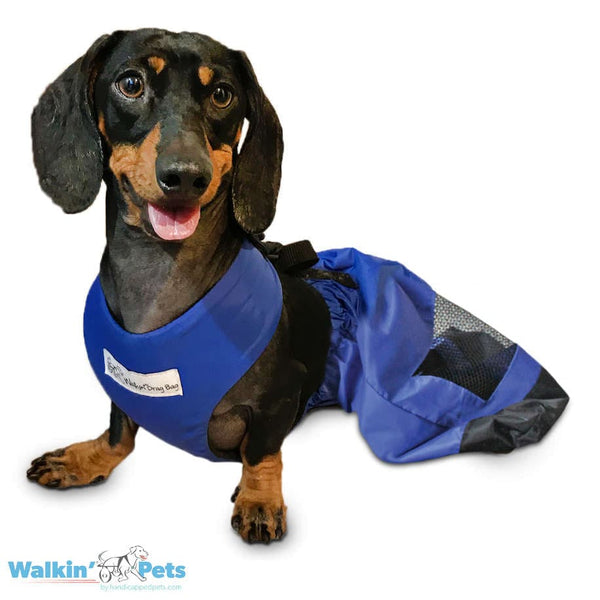 Walkin’ Wheels - Dog Drag Bag Dog Drag Bag Walkin Wheels Silver Circle Pets