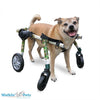 Walkin’ Wheels Full Support/4-Wheel MEDIUM Dog Wheel Chair Walkin Wheels Silver Circle Pets