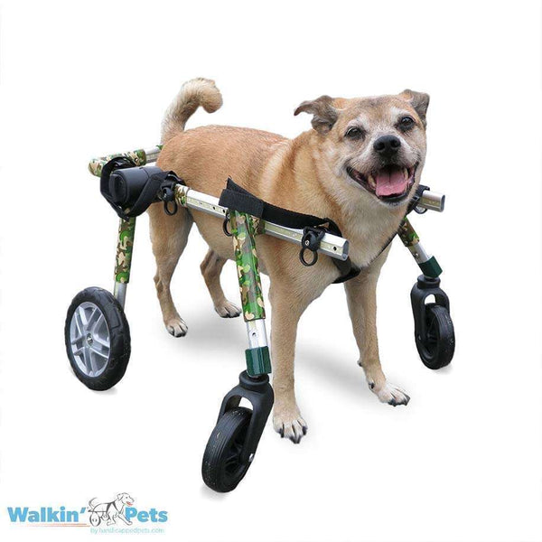 Walkin’ Wheels Full Support/4-Wheel MEDIUM Dog Wheel Chair Walkin Wheels Silver Circle Pets