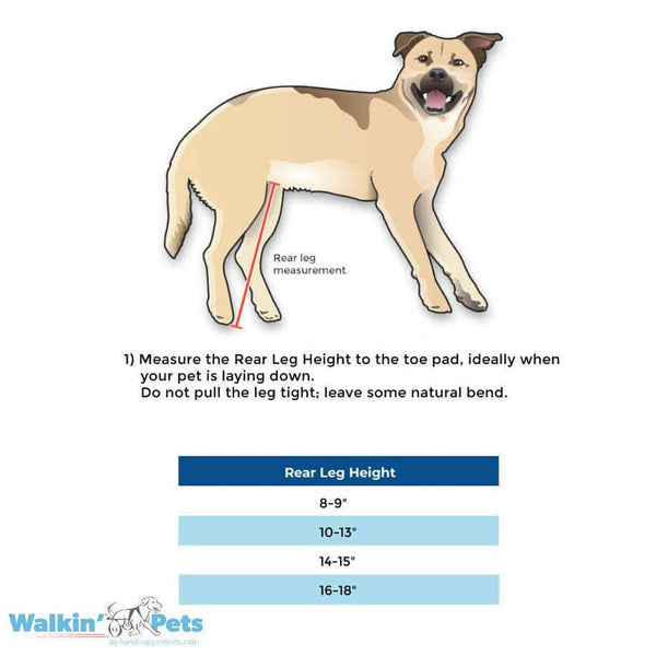 Walkin’ Wheels Full Support/4-Wheel MEDIUM Dog Wheel Chair Walkin Wheels Silver Circle Pets