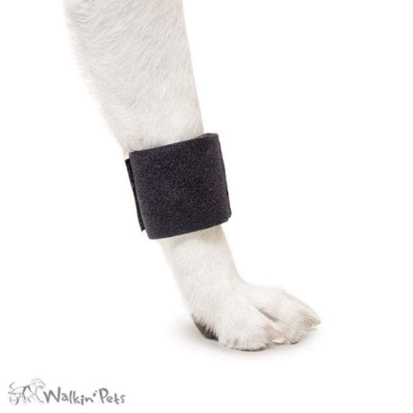 Walkin’ Wheels - Leg Ring Connector (Front Only) Dog Splint Walkin Wheels Silver Circle Pets