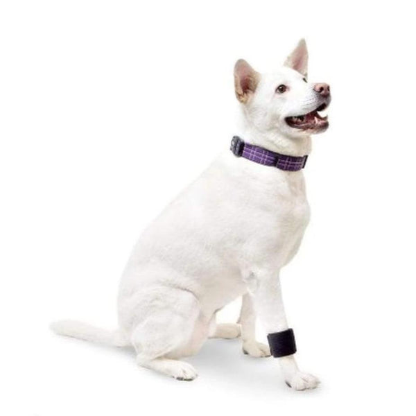 Walkin’ Wheels - Leg Ring Connector (Front Only) Dog Splint Walkin Wheels Silver Circle Pets