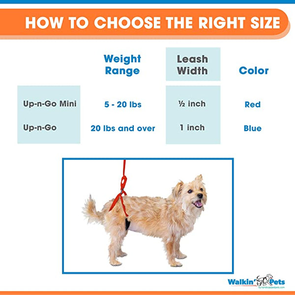 Walkin’ Wheels - Up-n-Go Leash Dog Harness Walkin Wheels Silver Circle Pets