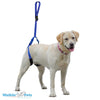 Walkin’ Wheels - Up-n-Go Leash Dog Harness Walkin Wheels Silver Circle Pets
