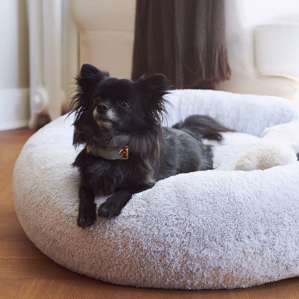 William Walker Dog Bed Comfy Cloud Sky Dog Bed William Walker Silver Circle Pets
