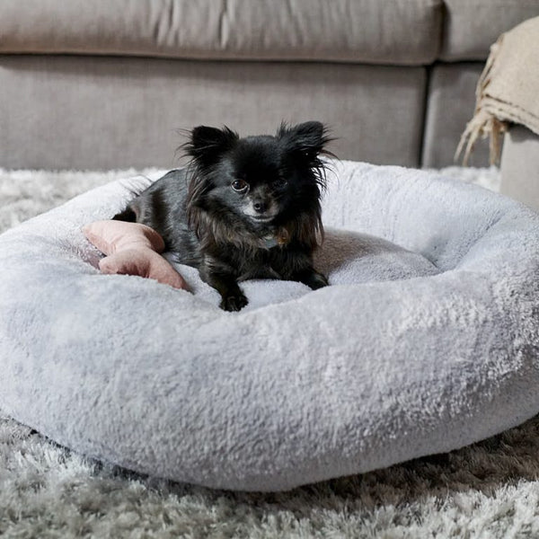 William Walker Dog Bed Comfy Cloud Sky Dog Bed William Walker Silver Circle Pets