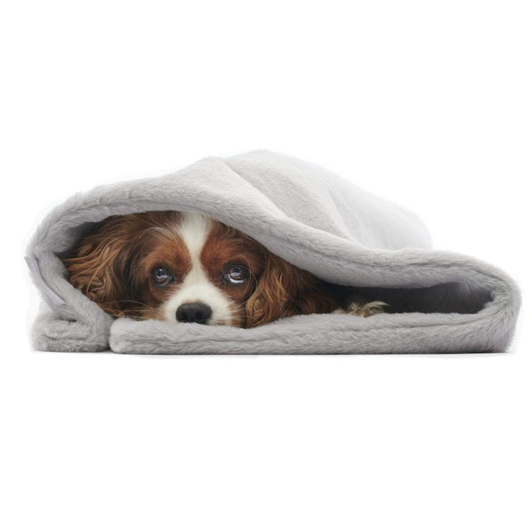 William Walker Dog Blanket Fluffy Sea Salt Blanket William Walker Silver Circle Pets
