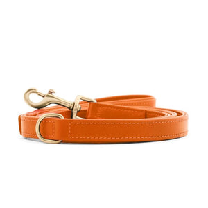 William Walker Dog Leash Amber