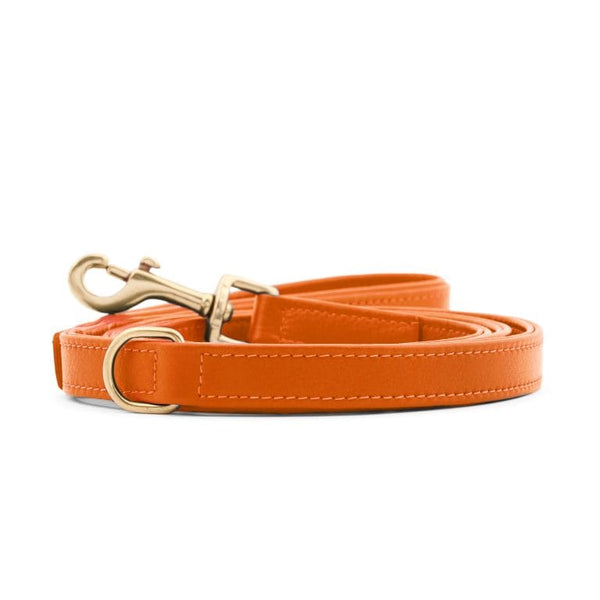 William Walker Dog Leash Amber Pet Leashes William Walker Silver Circle Pets