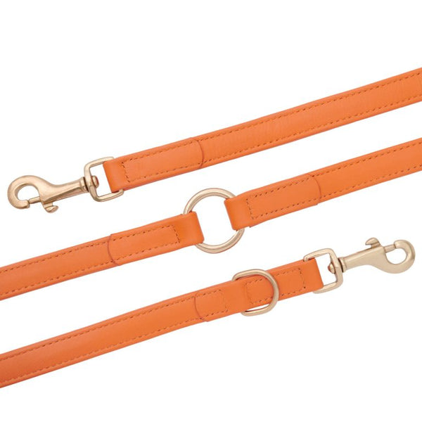 William Walker Dog Leash Amber Pet Leashes William Walker Silver Circle Pets