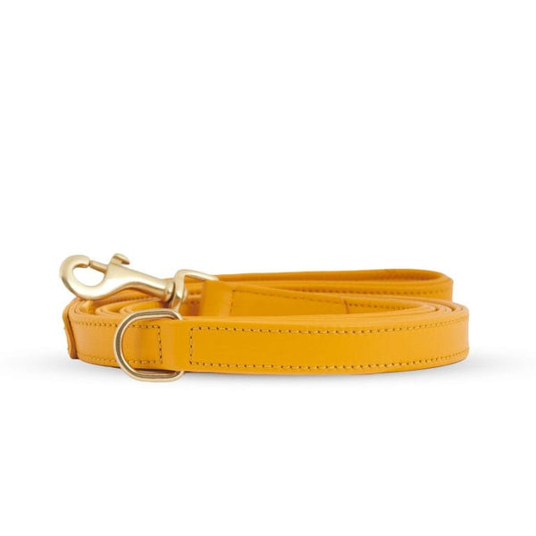 William Walker Dog Leash Curry Pet Leashes William Walker Silver Circle Pets