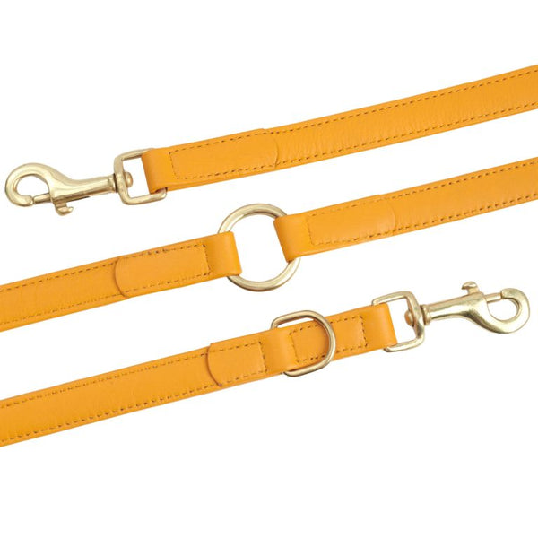 William Walker Dog Leash Curry Pet Leashes William Walker Silver Circle Pets