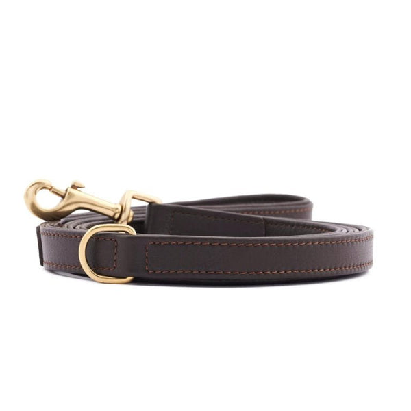 William Walker Dog Leash Earth Pet Leashes William Walker Silver Circle Pets