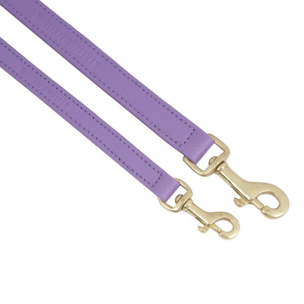 William Walker Dog Leash Lavender Pet Leashes William Walker Silver Circle Pets