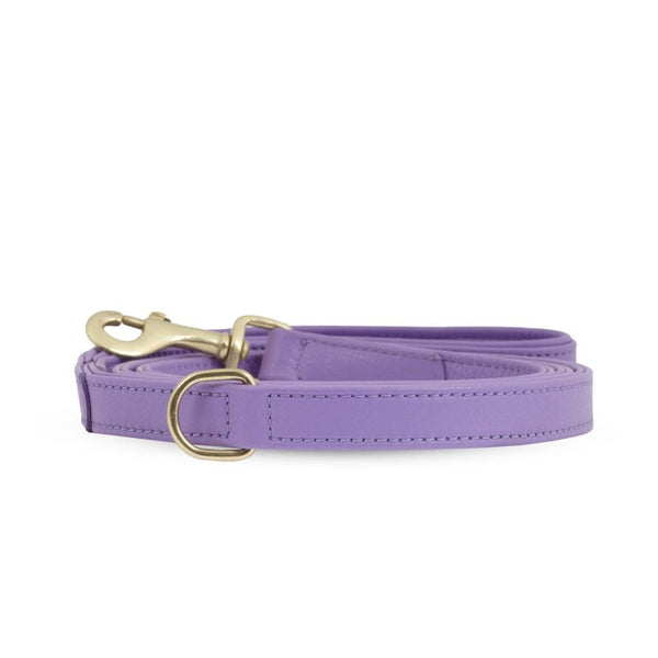 William Walker Dog Leash Lavender Pet Leashes William Walker Silver Circle Pets