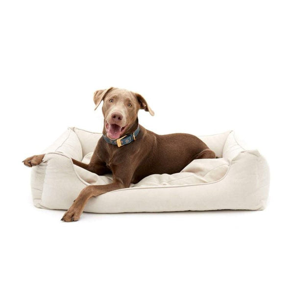 William Walker Orthopedic Dog Bed Sand Dog Bed William Walker Silver Circle Pets