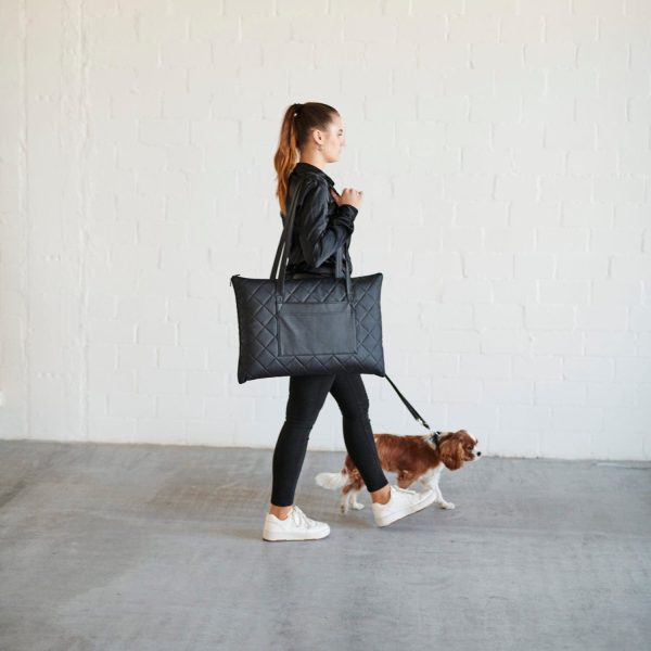 William Walker Travel Bag Superior Pet Carrier William Walker Silver Circle Pets