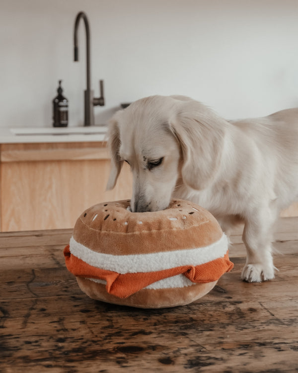 By Teddy Bagel Dog Toy