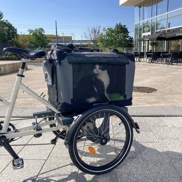 AddBike B-Back Box Pet | Tricycle Dog Bike Trailer-Pet Strollers-AddBike- Silver Circle Pets