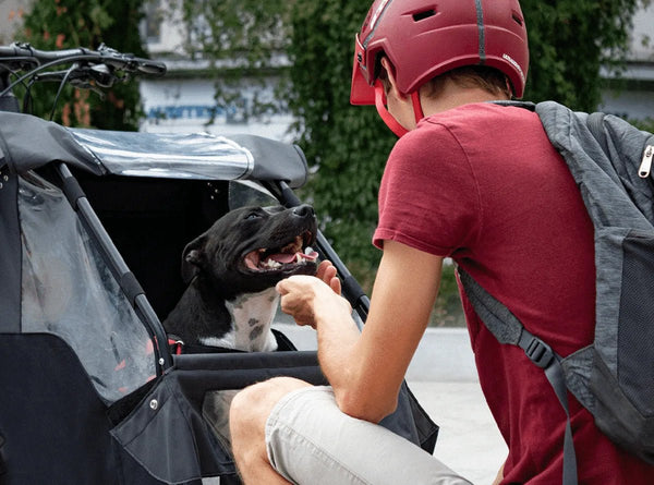 AddBike Carry'Dog Kit | Front Dog Bike Trailer-Pet Strollers-AddBike- Silver Circle Pets