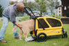 AirBuggy Cube Carriage Pet Cart | Integrated Ramp | Modular Roof-Pet Stroller-AirBuggy- Silver Circle Pets