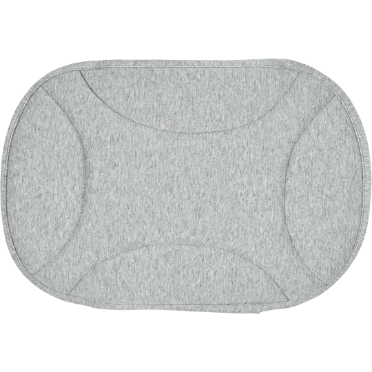 AirBuggy S-Cot DOME Series Comfort Mat | Small-Pet Stroller Accessory-AirBuggy- Silver Circle Pets
