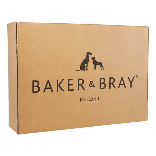 Baker & Bray Eco Luxe Orthopaedic Luxury Dog Bed-Dog Beds-Barker & Bray- Silver Circle Pets