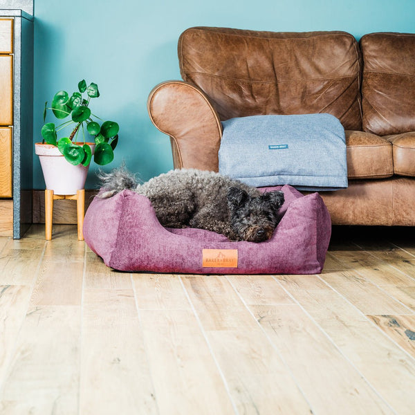 Baker & Bray Eco Luxe Orthopaedic Luxury Dog Bed-Dog Beds-Barker & Bray- Silver Circle Pets