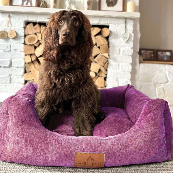 Baker & Bray Eco Luxe Orthopaedic Luxury Dog Bed-Dog Beds-Barker & Bray- Silver Circle Pets