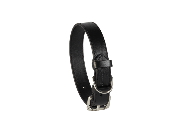 Baker & Bray Sustainable Leather Dog Collar | Black-Dog Collar-Baker & Bray- Silver Circle Pets