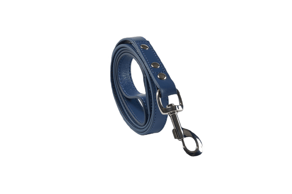 Baker & Bray Sustainable Leather Dog Collar & Lead Set | Navy-Dog Collar & Lead-Baker & Bray- Silver Circle Pets