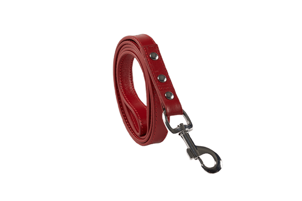 Baker & Bray Sustainable Leather Dog Collar & Lead Set | Rose-Dog Collar & Lead-Baker & Bray- Silver Circle Pets