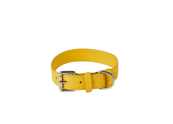 Barker & Bray Sustainable Leather Dog Collar | Lemon-Dog Collar-Barker & Bray- Silver Circle Pets