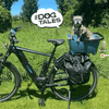 Basil Buddy MIK Dog Bike Basket-Pet Accessories-Basil- Silver Circle Pets