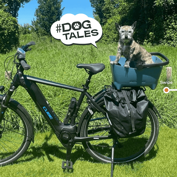Basil Buddy MIK Dog Bike Basket-Pet Accessories-Basil- Silver Circle Pets