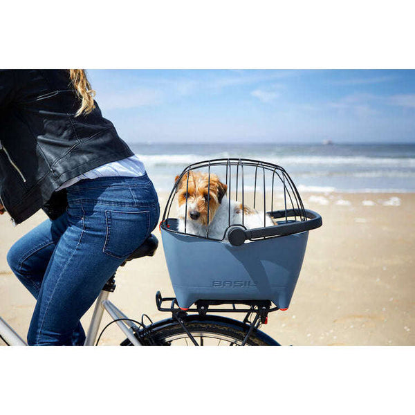 Basil Buddy MIK Dog Bike Basket-Pet Accessories-Basil- Silver Circle Pets