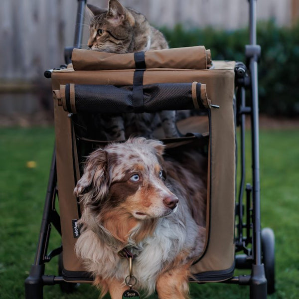 Ibiyaya BigBuddy 2-in-1 Pet Stroller and Crate
