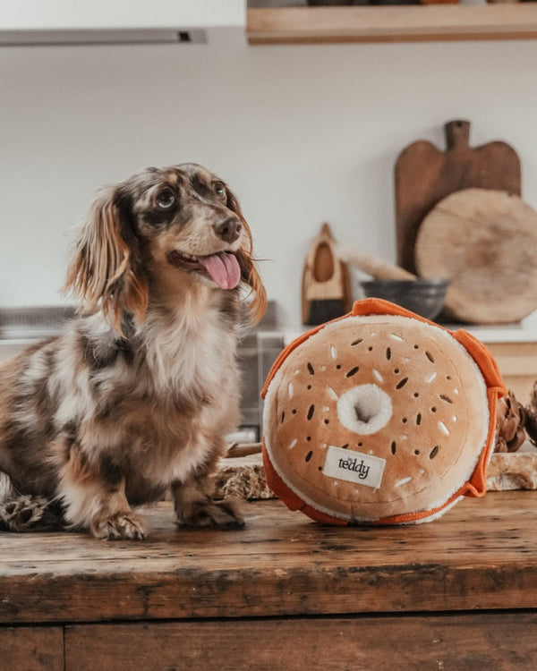 By Teddy Bagel Dog Toy-Dog Toy-By Teddy- Silver Circle Pets