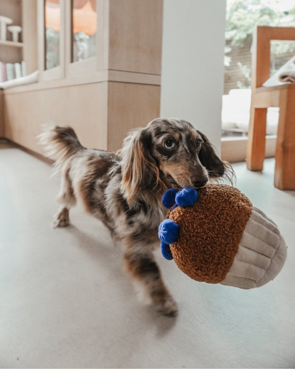 By Teddy Blueberry Muffin Dog Toy-Dog Toy-By Teddy- Silver Circle Pets