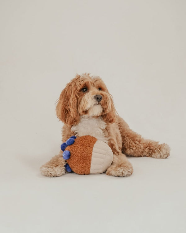 By Teddy Blueberry Muffin Dog Toy-Dog Toy-By Teddy- Silver Circle Pets