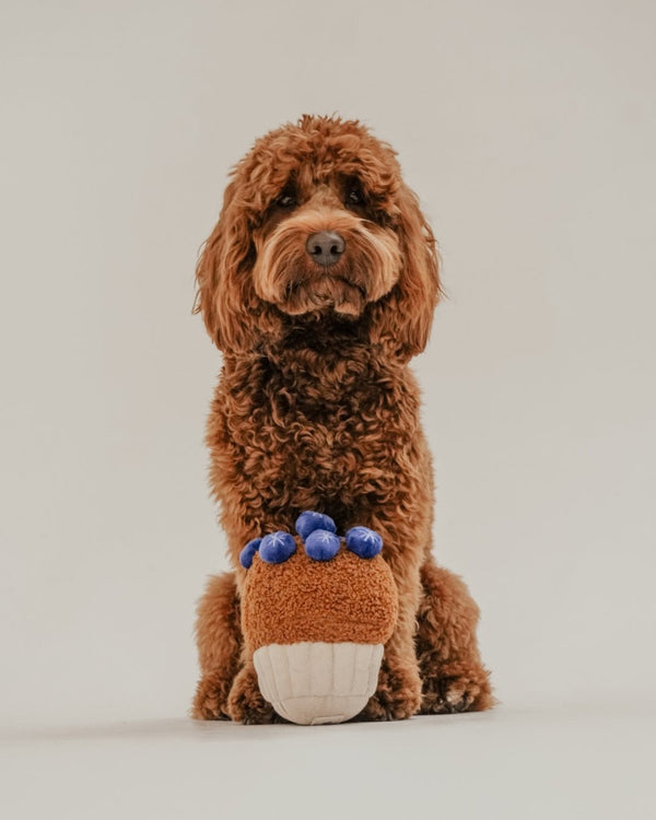 By Teddy Blueberry Muffin Dog Toy-Dog Toy-By Teddy- Silver Circle Pets