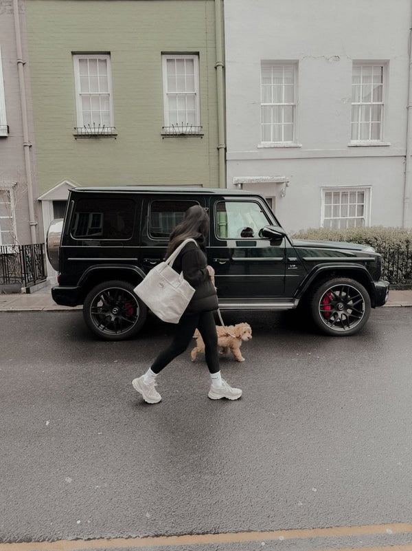 By Teddy Bouclé Pet Carrier | 2-in-1-Pet Carrier-By Teddy- Silver Circle Pets