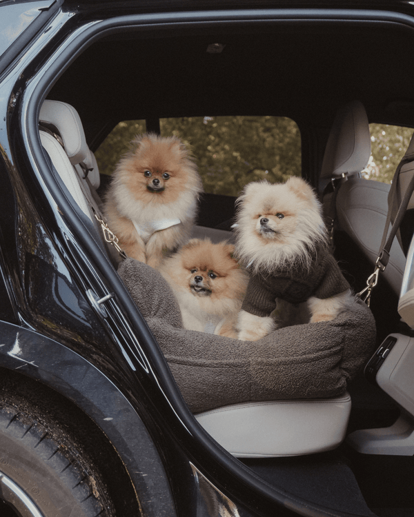 By Teddy Car Seat Adjustable Safety Clip (Add-On)-Dog Car Seat Belt-By Teddy- Silver Circle Pets